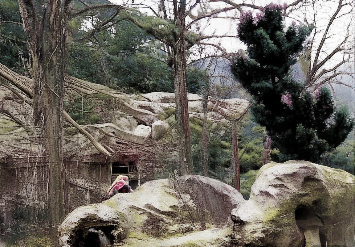 凯尔特人vs尼克斯：防守体系对决下的三分球关键战与球星博弈